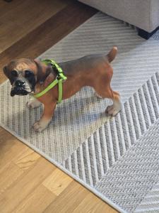 Apartamento Mirador del Pantano2