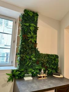 Appartements LE LOFT, 85m2, Hyper-centre : Appartement 1 Chambre