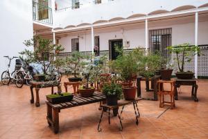 Great Plaza Ideal for families