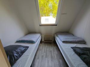 Campings Camping Le Val Aux Fees - Broceliande : photos des chambres