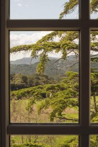 Hotels Domaine Le Mouflon D-Or : photos des chambres