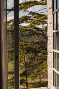 Hotels Domaine Le Mouflon D-Or : photos des chambres