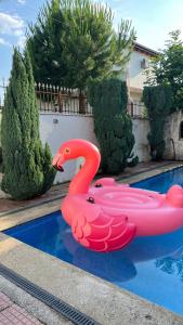 Cozy little holiday House