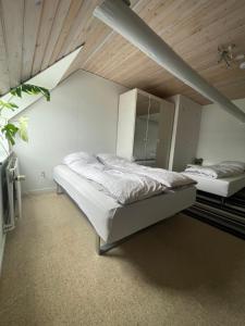 Lejlighed i landlige omgivelser