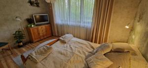 Apartament nad Jeziorem Necko
