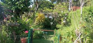 Cabaña Mi Bello Jardín, Privado, Zona Urbana