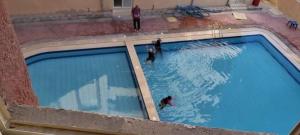 شقة مفروشة بمنتجع سيرينا الساحل الشمالى