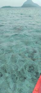 Chariss Vacation House