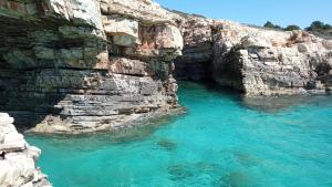 Yellow submarine - whole house