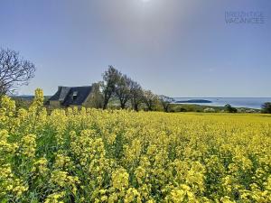 Maisons de vacances Villa Treberon - Vue mer exceptionnelle a Crozon : photos des chambres