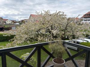 Apartes Studio am See