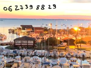 Appartements Loft vue Bassin Arcachon Marina de Cassy : photos des chambres