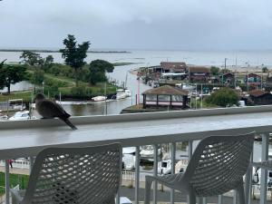 Appartements Loft vue Bassin Arcachon Marina de Cassy : photos des chambres