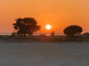 Appartements Loft vue Bassin Arcachon Marina de Cassy : photos des chambres