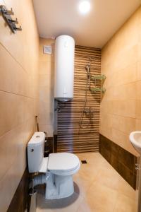 Къща с апартаменти за нощувка - Pleven