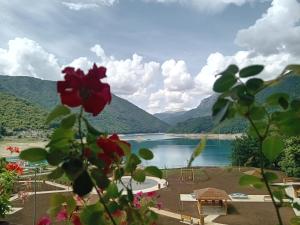 Studio Apartman D&S - 4hvězdičkové hotely ve městě Plužine