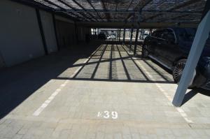 Los Camaleones EXCELLENT & SOLMARES