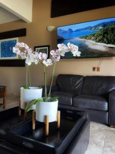 Hotel Matea San Isidro