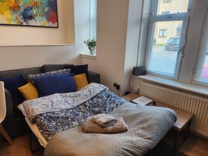Dundee - 1 Bed - Sleeps 5 - Pet Friendly
