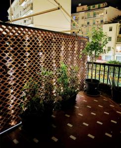 Foce 24 - City Garden 2 -