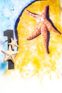 5 Frogs Hotel Bucerias