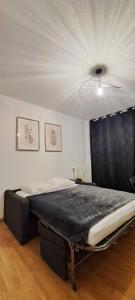Appartements Charmant studio a Castres : photos des chambres