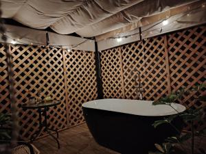 Cabañas Pinos del Mar