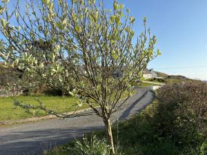 Luxurious large West Cork property with seaviews