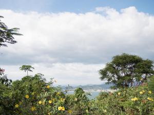 AGTA Nest Loft in Subic Bay with Self-Serve Breakfast - WiFi, Monkeys, Pet Friendly with a Fee