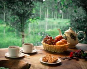 De Spicewoods, AC Cabin, Pool, Couple only