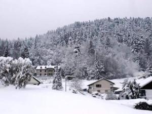 Chalets Apartment in France near Scenic Trails : photos des chambres