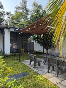 homestay halona