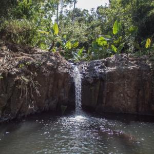 TUKI Nest Spacious Home with Garden View & Self-Service Breakfast - Large Porch, Subic Monkeys, Pet Friendly with a Fee