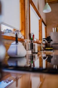 Piuquenes Lodge - Cabañas, Viñedos y estrellas en Horcón, Valle de Elqui