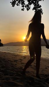 FOREST Nest with Self-Service Breakfast - Birds, Monkeys, Pet Friendly with a Fee