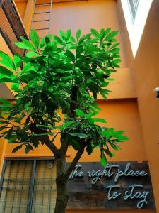 Chí Hiếu Homestay