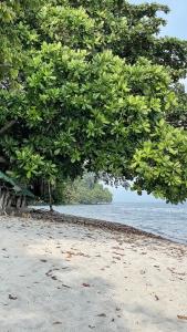 OCEAN Nest with Self-Service Breakfast - AC, Monkeys, Pet-friendly with a Fee