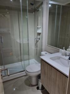 Departamento centro Temuco