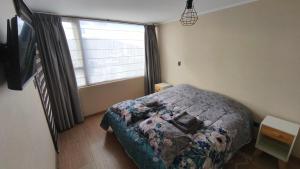 Departamento centro Temuco