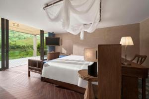 Garrya Mù Cang Chải