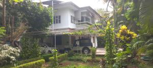 greenview homestay Mayyil