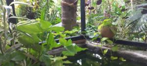 greenview homestay Mayyil