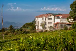 Surrounding environment