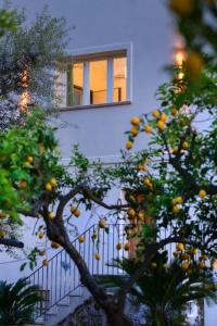 Apartamento con vistas al jardín