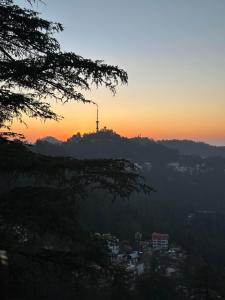 Lords Grey near Mall Road