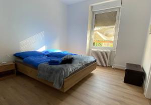 Maisons de vacances Les 2 suites de Belfort 184m2 Centre Parkings : photos des chambres