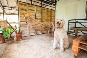 Rainforest Nest - KAHILOM, SAYA, JIVA Nest with Self-Service Breakfast, Outdoor Dining, Bats!