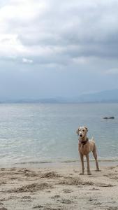 Rainforest Nest - CAHAYA, PITI, VIRYA Nest with Self-Service Breakfast, Balcony, Monkeys, Bats!