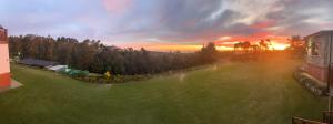 House with a View