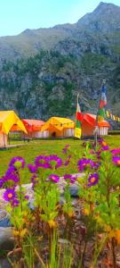 Kangal Camps Miyar Valley